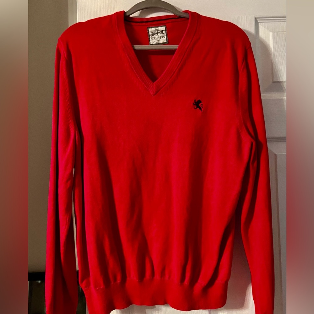 Express Men’s Sweater Size Large